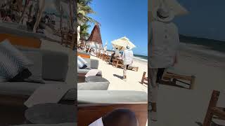 #TulumVibes #TulumBeach #TulumParty #BeachClubLife #BeachPartyVibes #OceanViews red #TropicalMood