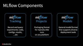 MLflow: Infrastructure for a Complete Machine Learning Life Cycle with Mani Parkhe & Tomas Nykod screenshot 4