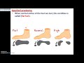 Arches foot Part 2 (Applied Anatomy) - Dr. Ahmed Farid