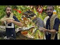 هجوم اخطر تمساح في العالم عليا آثناء إطعامه شاهد ماذا حدث فالنهاية هجوم اخطر تمساح في العالم عليا آثناء إطعامه شاهد ماذا حدث فالنهاية