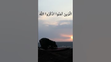 #القارئ #القرآن_الكريم #قرآن #السعودية #المغرب #islam #العراق #اسلام #الجزائر #صوتیات#صباح_الخير