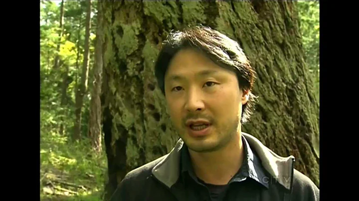 CTV 2013: Environmental Law Centre Proposes BC Old-Growth Act