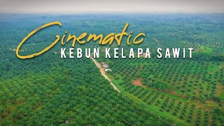 Sinematic Video Drone Kebun Kelapa Sawit || B ROLL