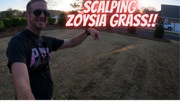 DIY | Scalping Your Way to a Lush Zoysia Lawn