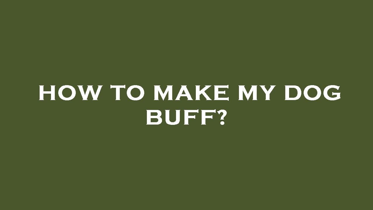 How to make my dog buff? YouTube