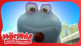 Gobblefrog | Morphle | Available on Disney+ and Disney Jr