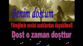 DOST DEDİĞİN Resimi