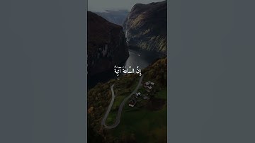 القارئ: عبدالله الموسى