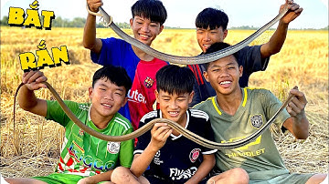 Anh Ba Phải | Sinh Tồn Bắt Chuột - Bắt Được Cặp Rắn Siêu Khủng