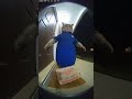 Pizza Cat LOSES IT on Doorbell Cam