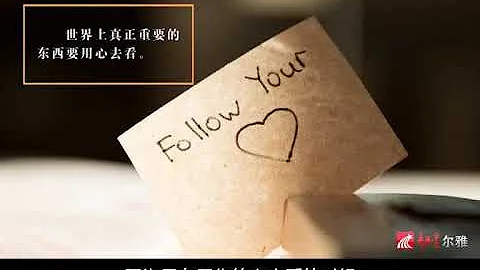 幸福的決定要素04 用精神之光反觀自身-陳果的幸福哲學課 - 天天要聞