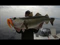 🚀FIIISH CRAZY Sand EEL color 🟠🟡 MANGO JUICE (🎣 &amp; 🎵) #32 Best FISHING videos FUNNY