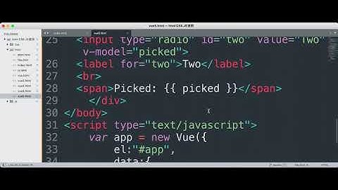 Vue表达输入绑定01