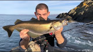 Lure Fishing for Pollack - UK Shore fishing | The Fish Locker