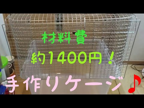 ファンシーラットpet Rats 安くて簡単 ケージの作り方を紹介します Youtube