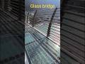 Glass bridge, Rishikesh l wait for opening shortly🤣👌👌😀 #shortsfeed