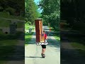 A pizza delivery no one expected
