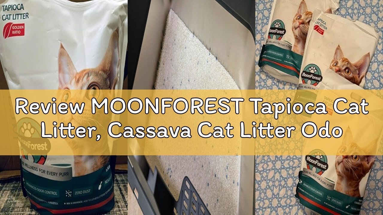 Review MOONFOREST Tapioca Cat Litter, Cassava Cat Litter Odor Control Dust-Free Clumping Litter