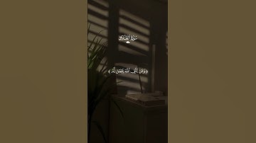 تلاوة جميلة جدا ل سعد الغامدي 🩶 // ومن يتق الله يجعل له من امره يسرا 🩶🎧