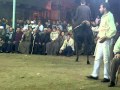رقص خيول عربيه محمد عامر حفلة مولد النبى Mp4