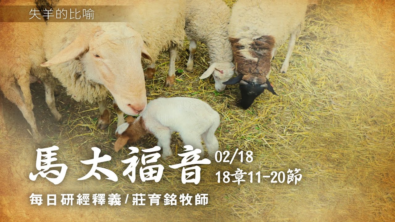 210218 馬太福音 18章11~20節 撇下九十九隻去找迷羊