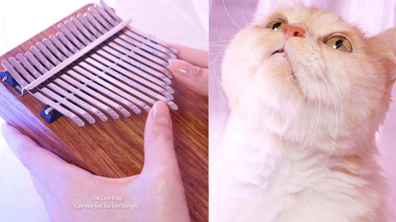 The Lion King, Can You Feel The Love Tonight - Kalimba cover. - YouTube