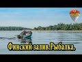 Рыбалка на финском заливе летом.