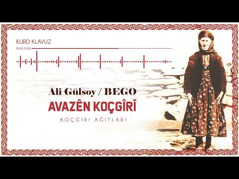 Ali Gülsoy /