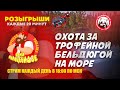 Розыгрыши каждые 20 минут. Разыграли уже 20 Рапторов и 15 Венг. Набор в команду Дети Мальцевидзе