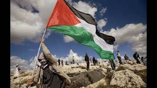 A HeartTouching anthem for palestine( mautini )