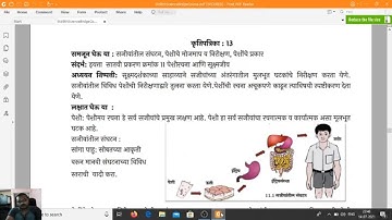 Bridge Course 8th Science 13 - Activity