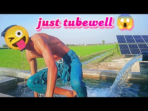 swimming in tubewell water pool in village !! tube well water fun by village pendo boy village vlog