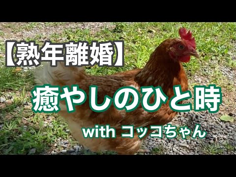 優しいガーデニングの効果と実践法：3年試した私が語る真実とコツ
