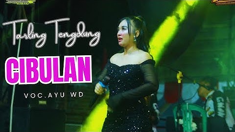 CIBULAN // CITRA NADA LIVE DESA KALENPANDAN // LARANGAN - BREBES