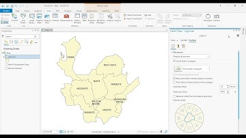 Activar etiquetas y simbología en ArcGIS Pro.