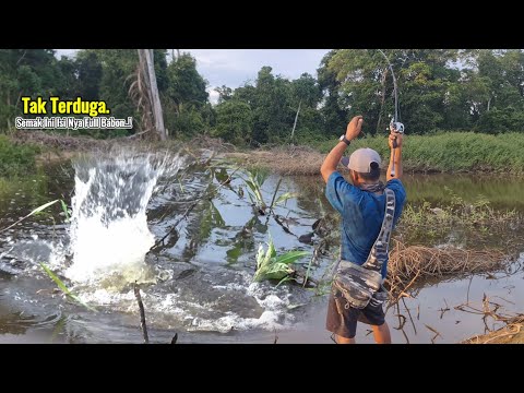 FISHING AT A SPOT AFTER UNEXPECTED FLOODS INHABITED BY SUPER² FIERCE GABUS || SATISFYING SHORT TRIP