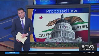 Law Professor Discusses Governor Newsom's Push For New Gun Laws