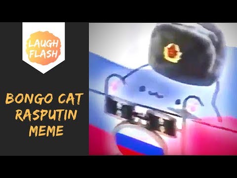 bongo-cat-meme-😅😅-ra-ra-rasputin