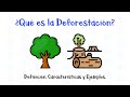 Quiz sobre Deforestación