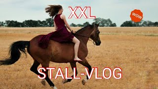 XXL STALL-VLOG (5 Pferde reiten!?) 😲 | _hobbyhorsing_de