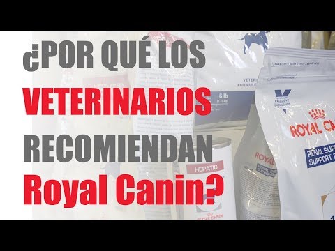 Razones por las cuales veterinarios recomiendan Royal Canin