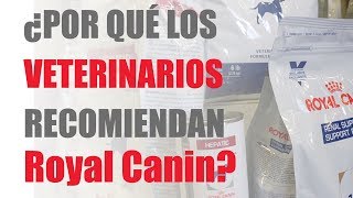 Razones por las cuales veterinarios recomiendan Royal Canin