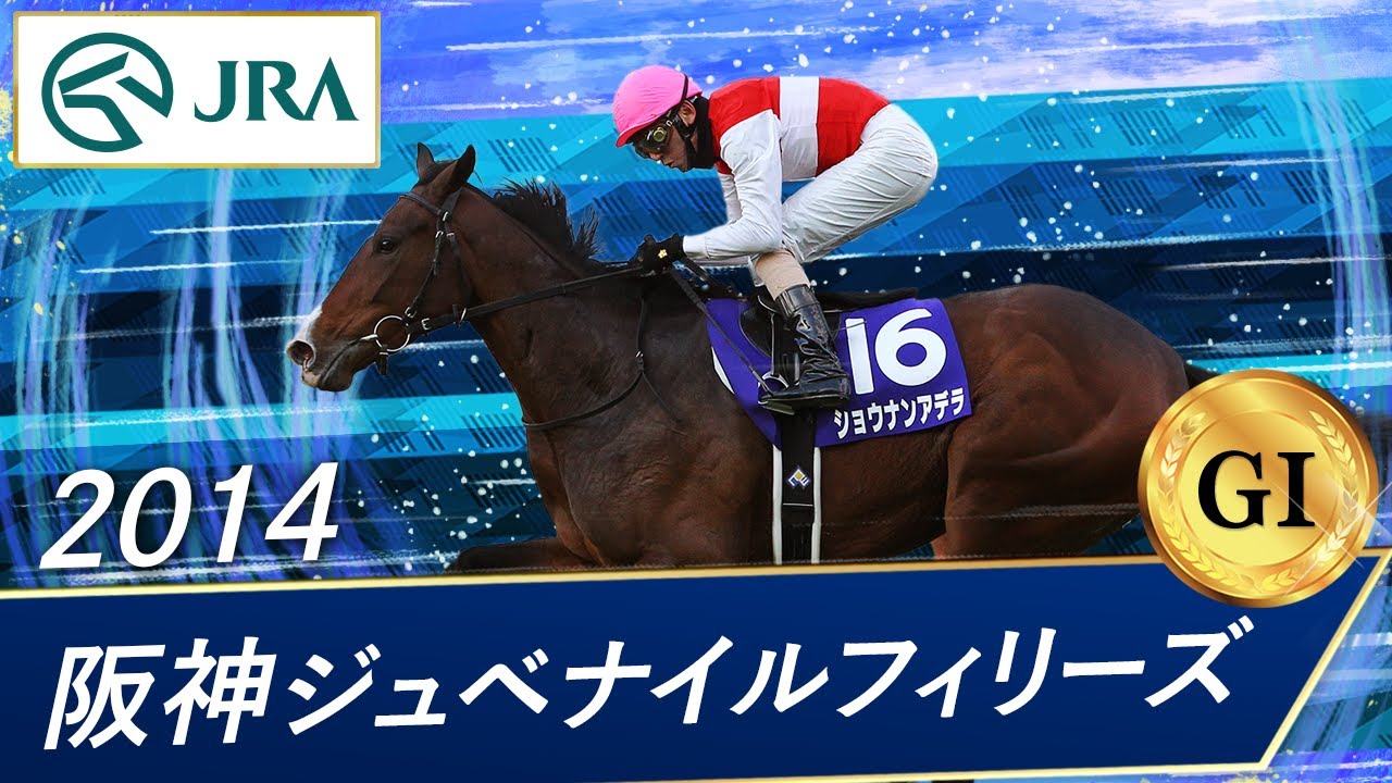 ⑱◆　競馬　JRA　◆　アスコリピチェーノ　◆阪神ジュベナイルフィリーズ◆セット 阪神JF】アスコリピチェーノが無傷の3連勝で2歳女王に 8年