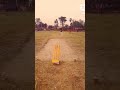 practice for match #hotshots #cricket