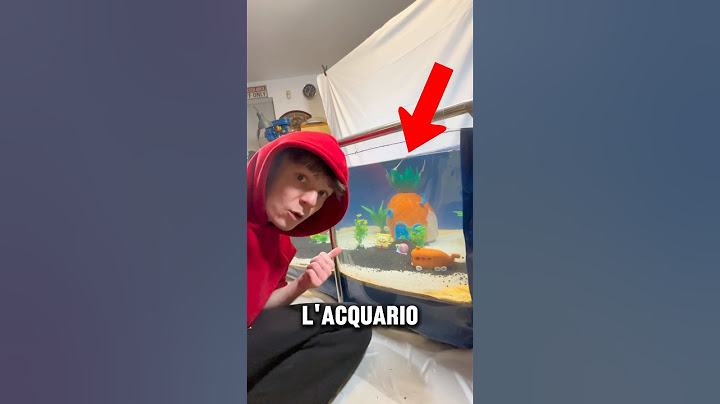 HO COSTRUITO L’ACQUARIO DI SPONGEBOB!
