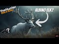 Hunting a possible albino elk in #thehunter_call_of_the_wild