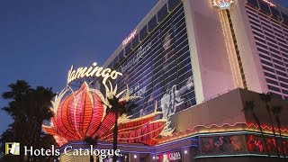 Flamingo Las Vegas Hotel and Casino - Caesars Entertainment - Las Vegas Hotel Tour