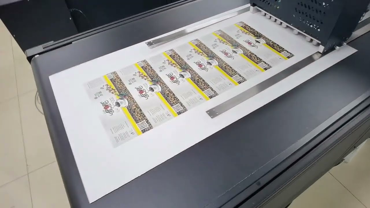 Direct Printing on Fabric Textile Printer VS-2602TX with EPSON DX5