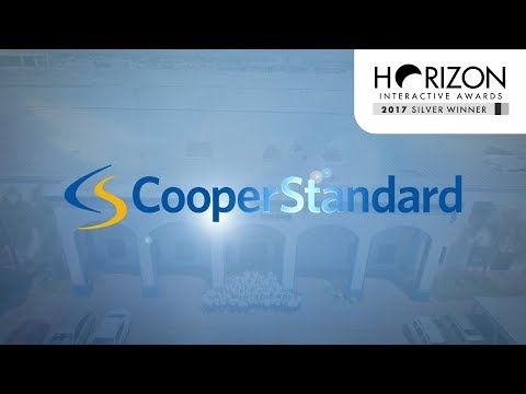 Cooper Standard - Values