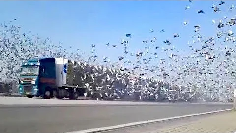 15 Moments You Wouldn't Believe If Not Filmed!